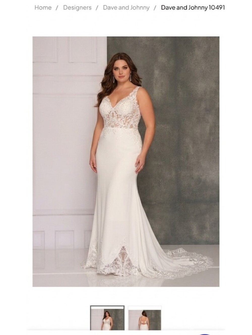 Simple Bridal Gown Ivory Size 16 Wedding Dress Lace Illusion non-beaded Mermaid